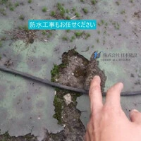 画像303