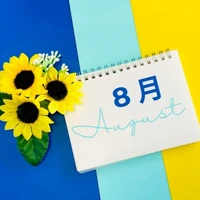 画像375