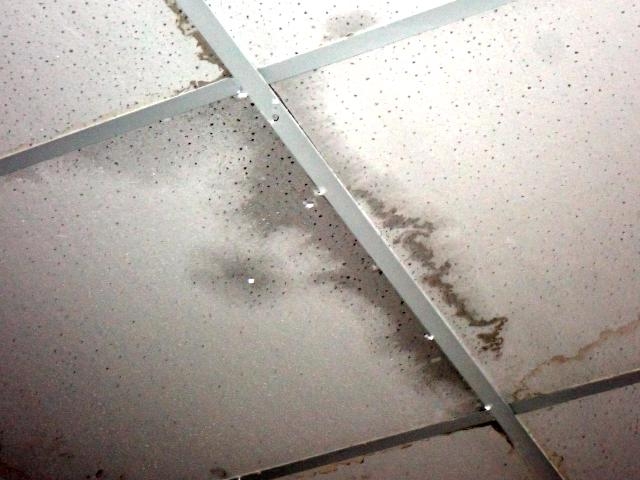 5. 雨漏り修理の必要性