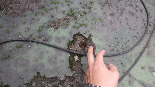 雨漏り修理の重要性