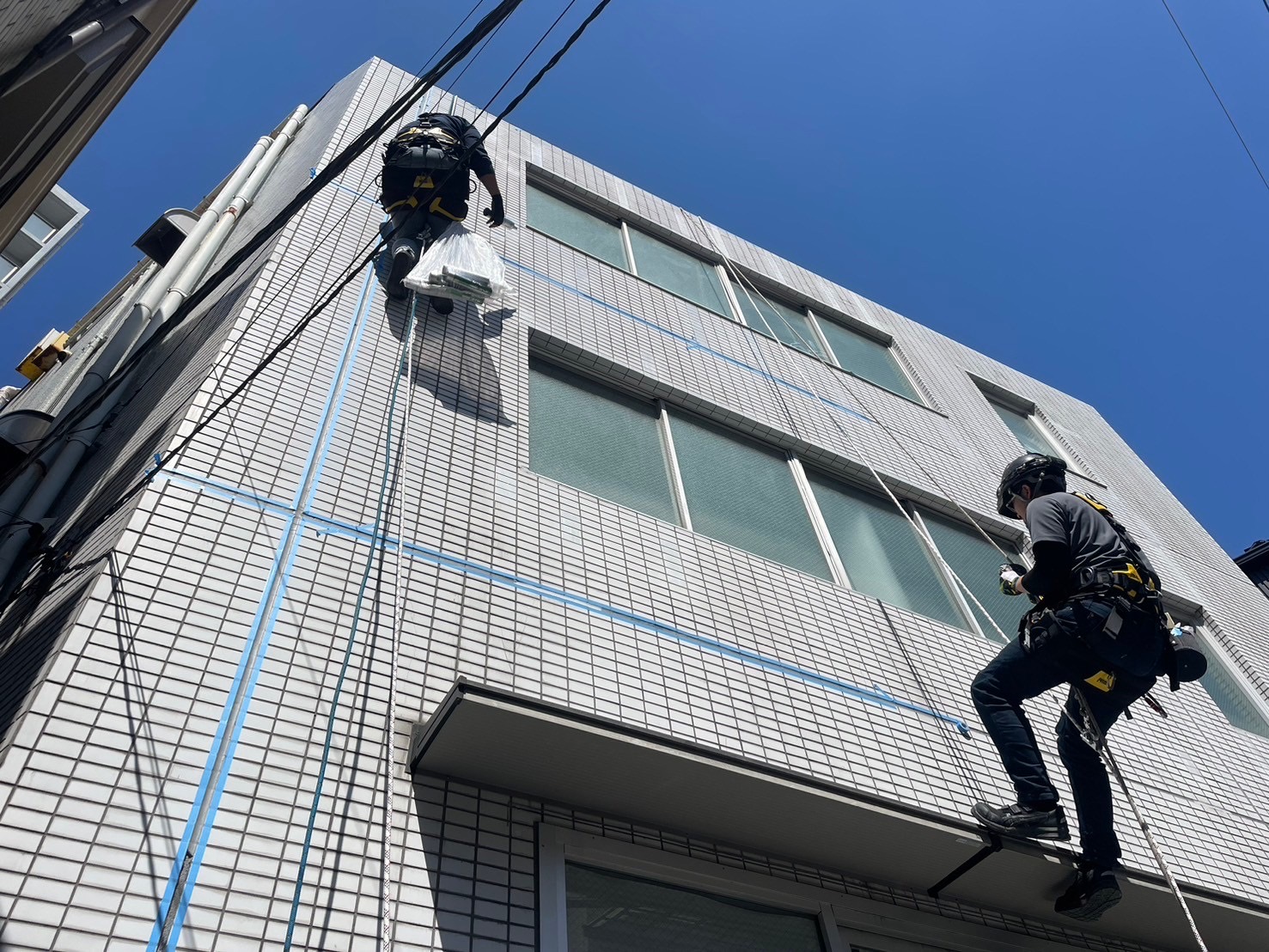 実績とお客様の声